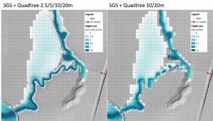 Fig3 D sgs zoom.png