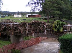 Bridge rail debris.jpg