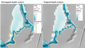 Fig5 D sgs remap zoom.png